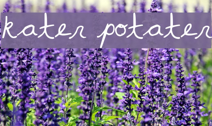 kater potater Font examples