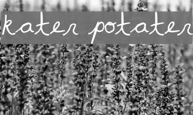 kater potater  examples