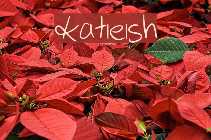 katieish Font examples