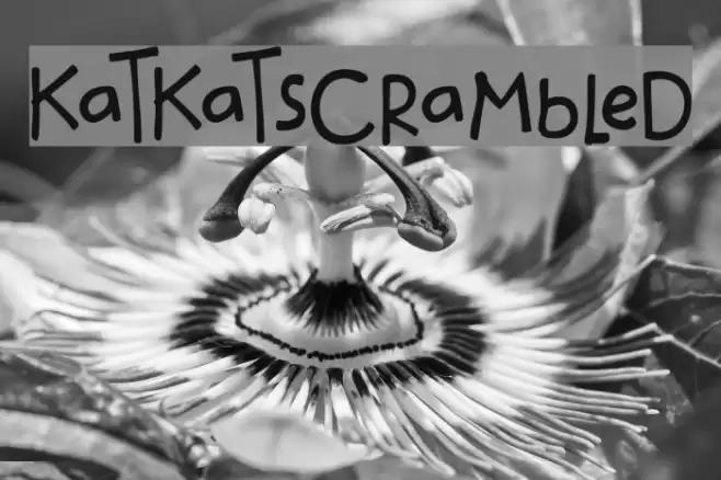 katkat_scrambled Font examples
