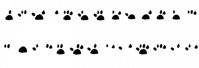 katype loremaster Schriftart Groß