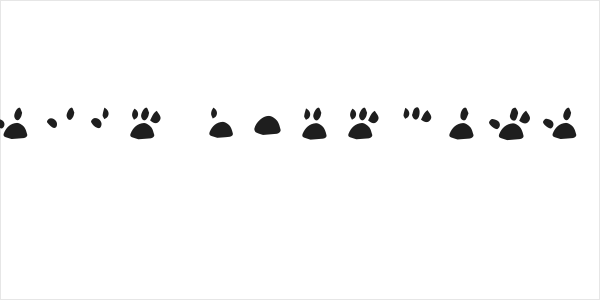 katype loremaster Logo