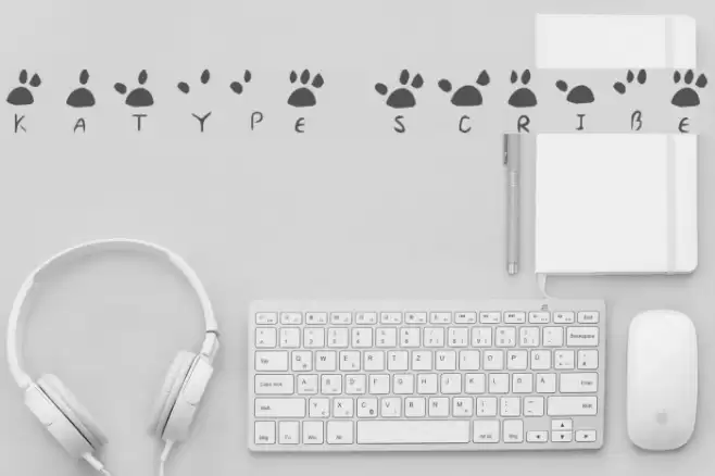 katype scribe Font examples