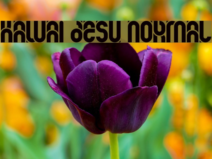 kawai desu normal Font examples