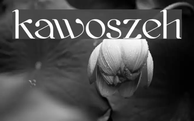 kawoszeh フォント examples