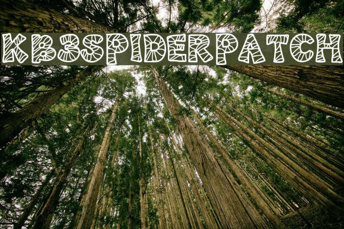 KB3SpiderPatch Schriftart examples