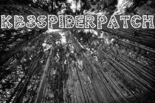 KB3SpiderPatch Schriftart examples