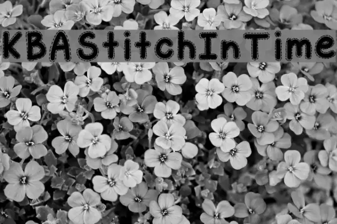 KBAStitchInTime Fonte examples