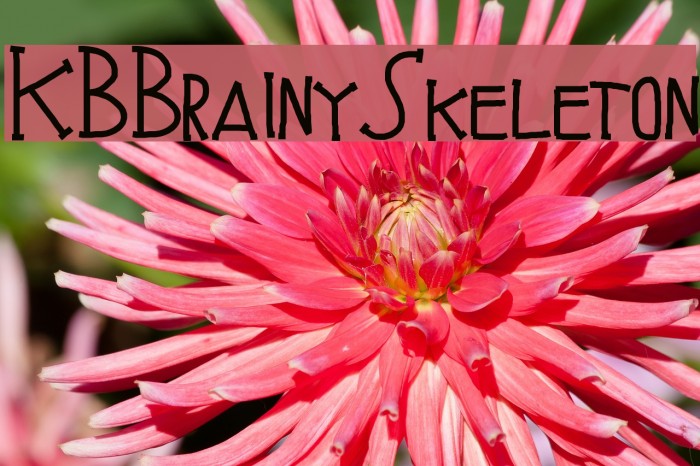 KBBrainySkeleton Font examples