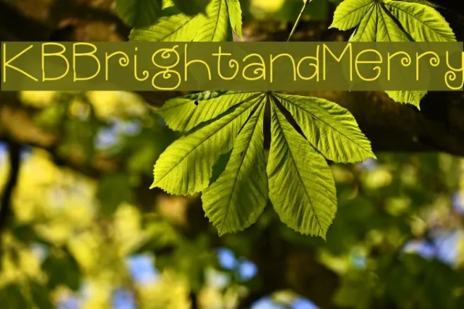 KBBrightandMerry Example 2