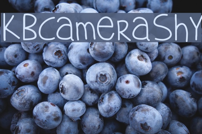 KBCameraShy Font examples