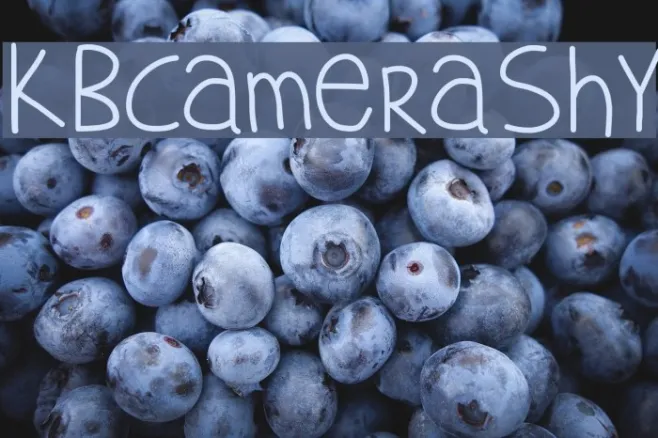 KBCameraShy Example 2