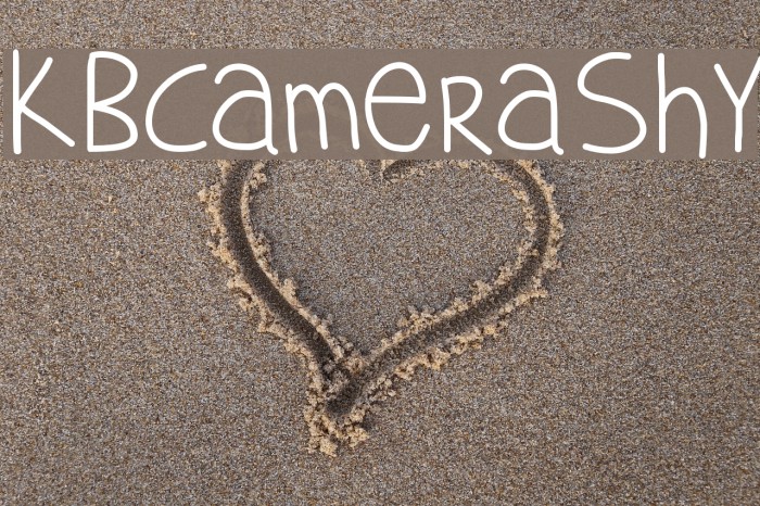 KBCameraShy Font examples