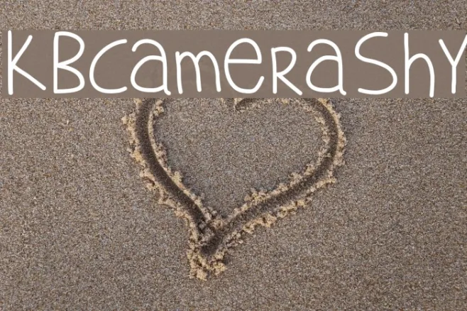 KBCameraShy Example 3