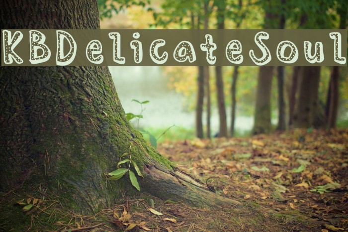 KBDelicateSoul Font examples