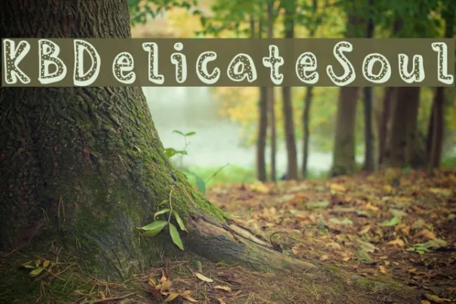 KBDelicateSoul Example 2