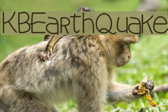 KBEarthQuake Example 1