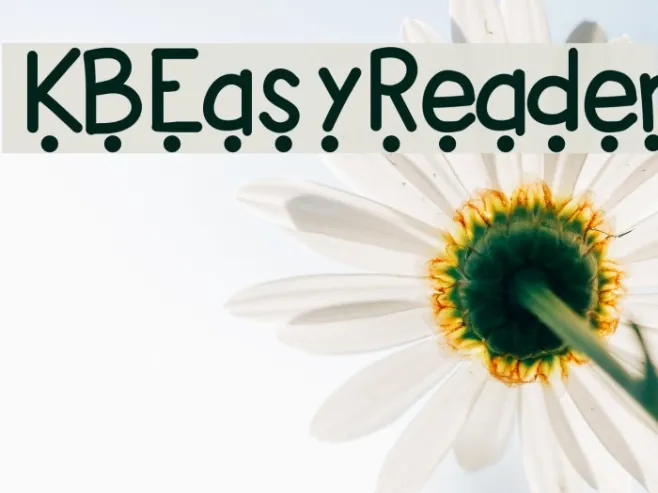 KBEasyReader Example 3