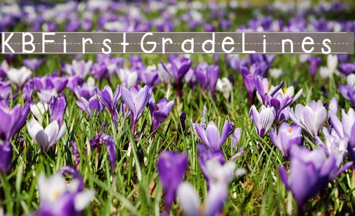 KBFirstGradeLines Example 3