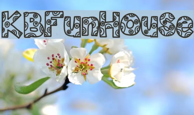 KBFunHouse Example 3
