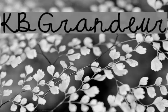 KBGrandeur フォント examples