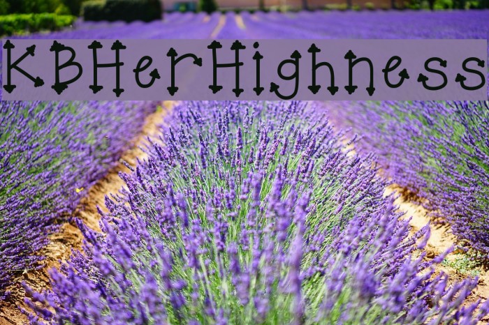 KBHerHighness Example 1