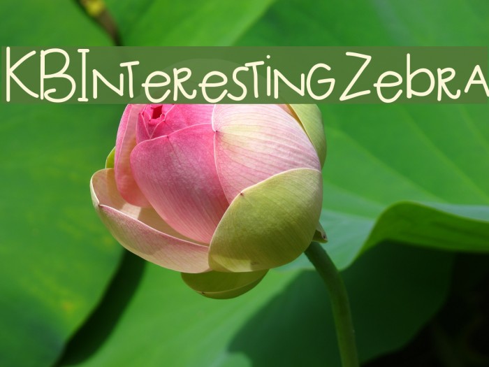 KBInterestingZebra Font examples