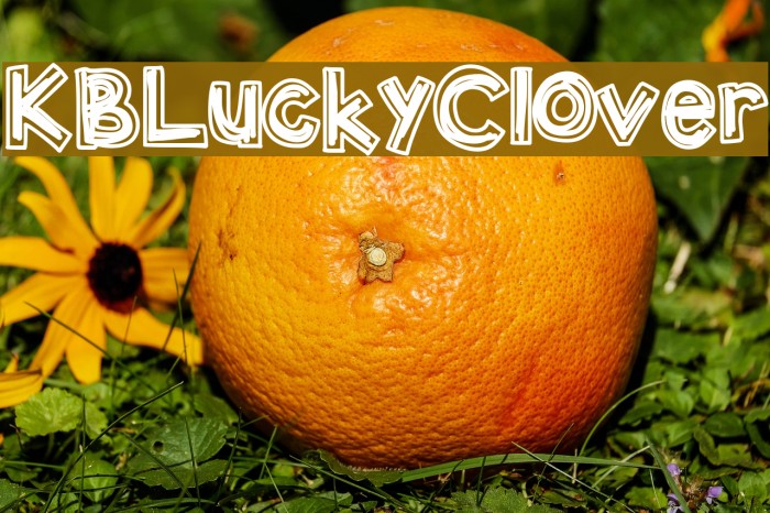 KBLuckyClover Font examples