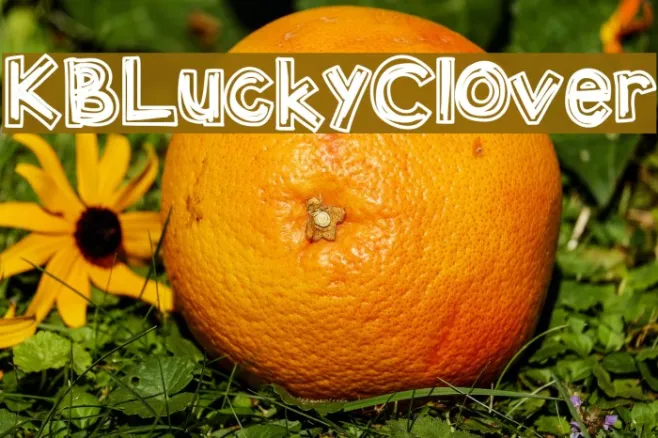 KBLuckyClover Example 3