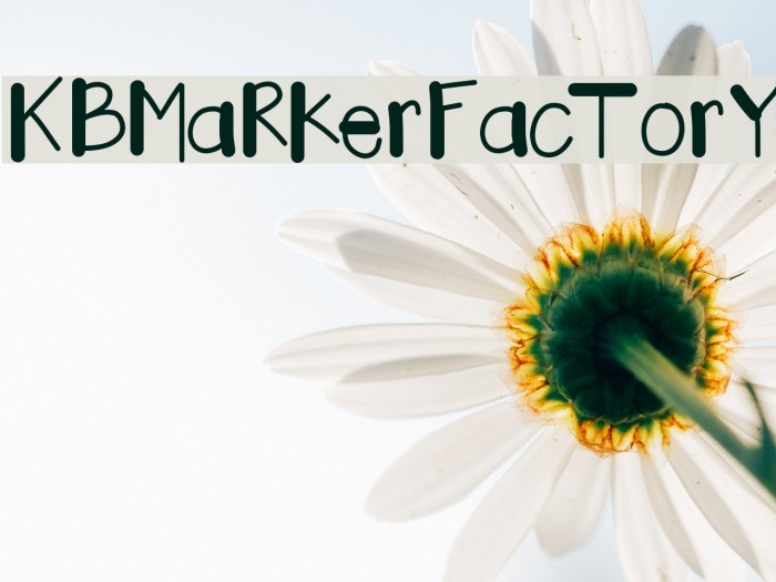 KBMaRkerFacTorY Font examples