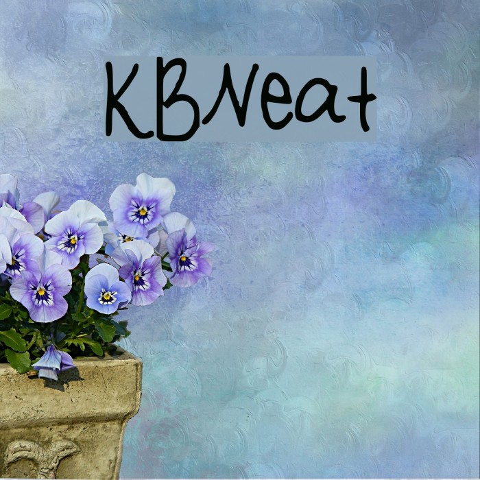 KBNeat Font examples