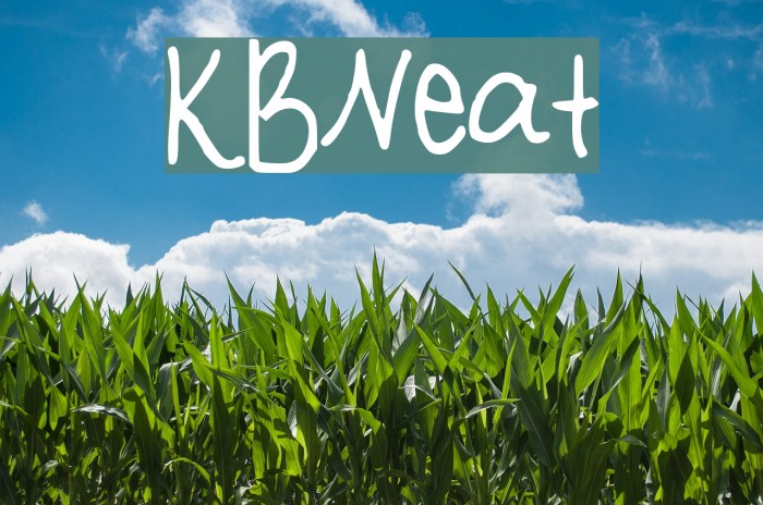 KBNeat Font examples