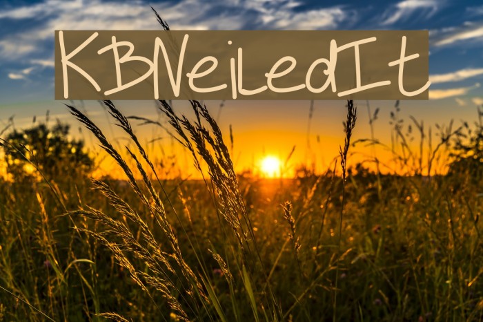 KBNeiledIt Font examples