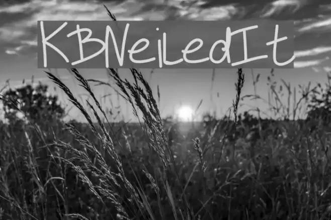 KBNeiledIt Font examples