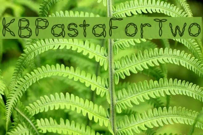 KBPastaForTwo Example 1
