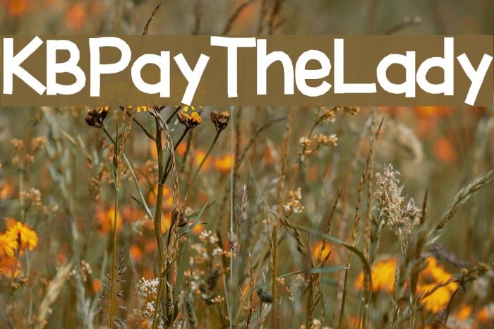KBPayTheLady Font examples