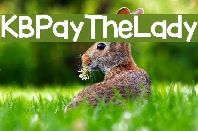 KBPayTheLady Example 3