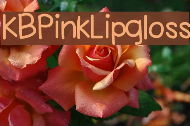 KBPinkLipgloss Example 1