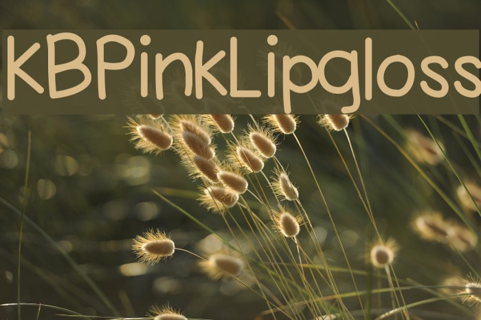 KBPinkLipgloss Font examples
