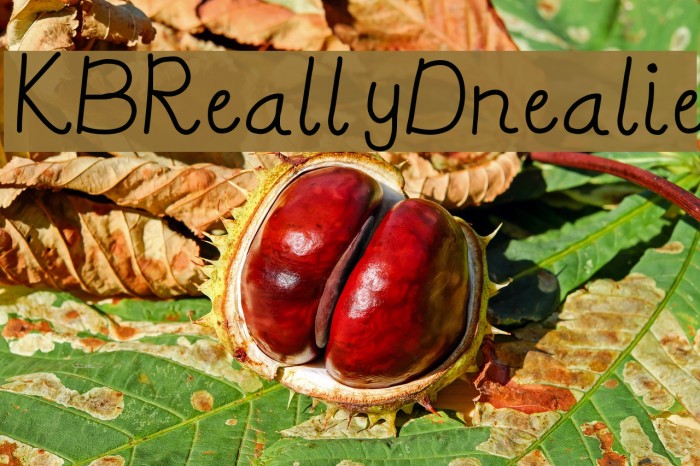 KBReallyDnealie Font examples