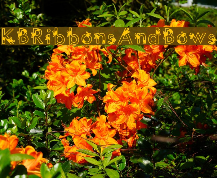 KBRibbonsAndBows Example 3