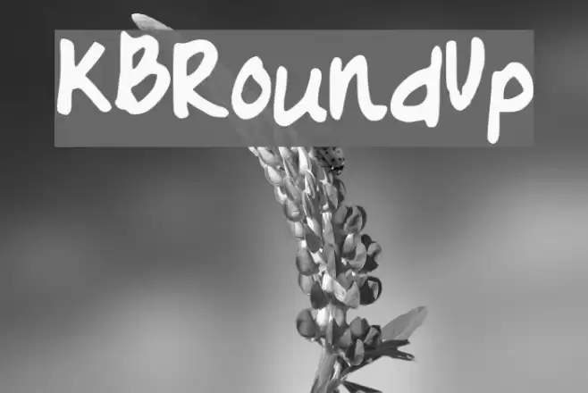 KBRoundUp Fonte examples