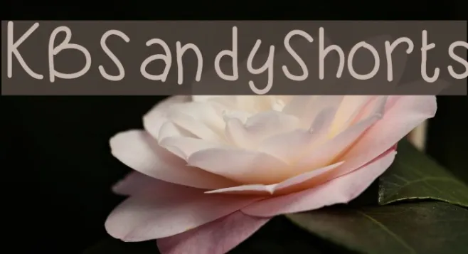 KBSandyShorts Example 2