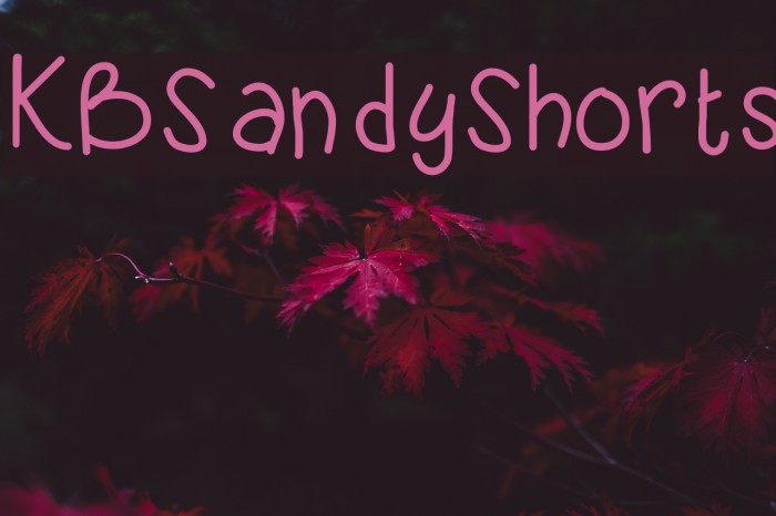 KBSandyShorts Font examples