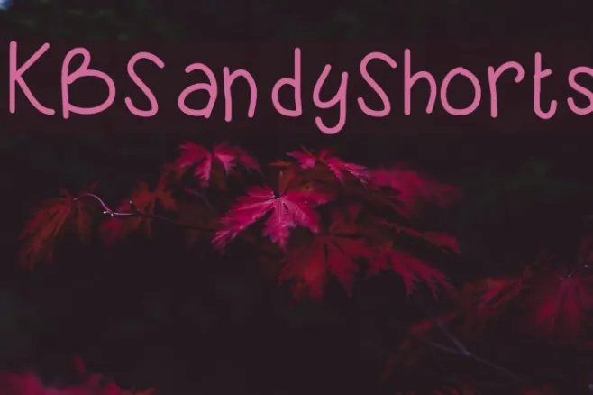 KBSandyShorts Example 3