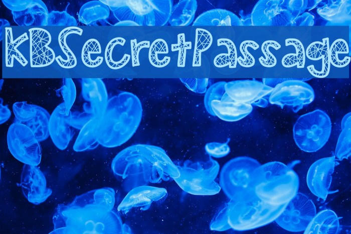 KBSecretPassage Example 3