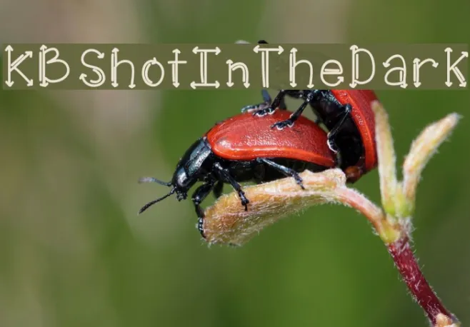KBShotInTheDark Example 1