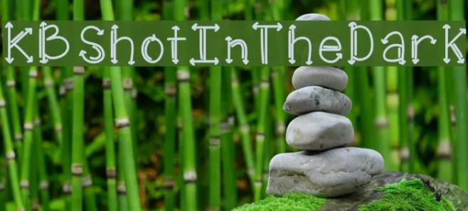 KBShotInTheDark Example 2
