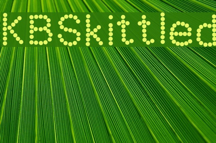 KBSkittled Font examples
