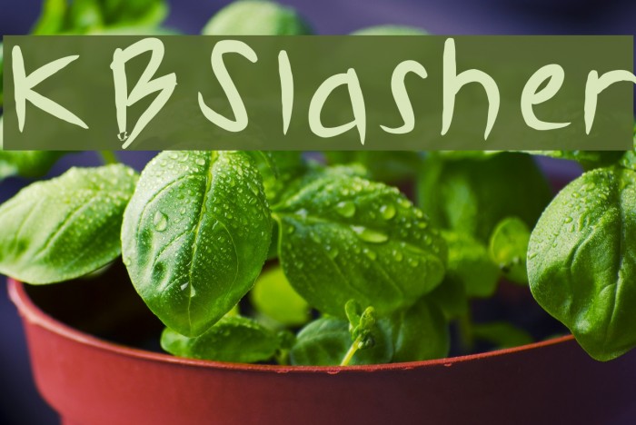 KBSlasher Font examples